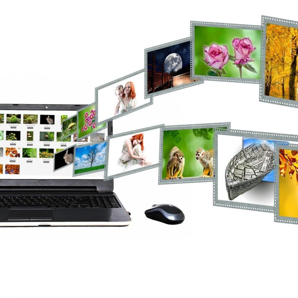 API Certification Courses